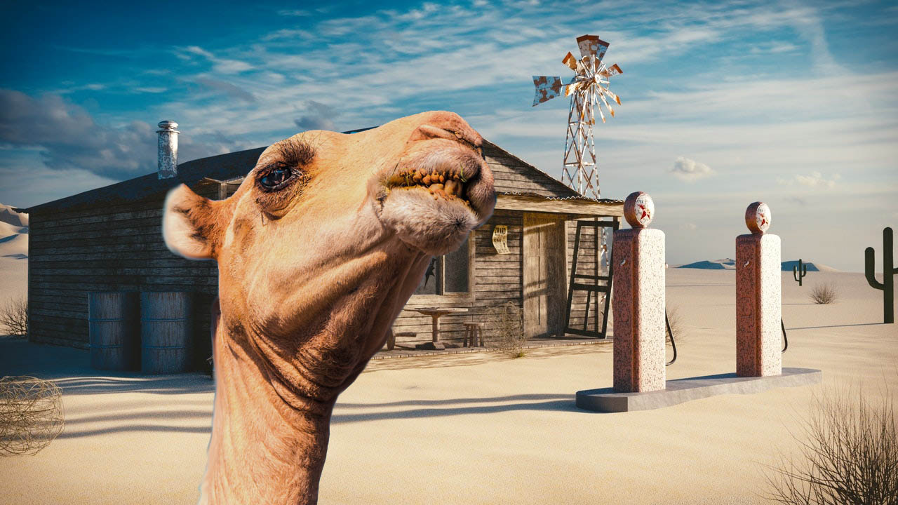 camello gasolina
