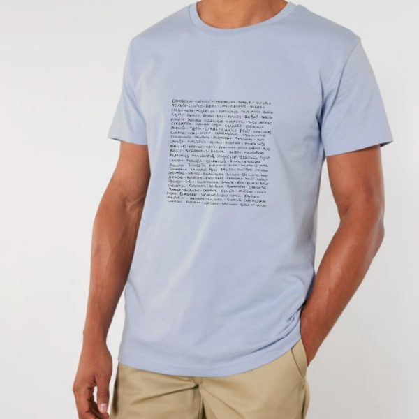 Camiseta de los insultos